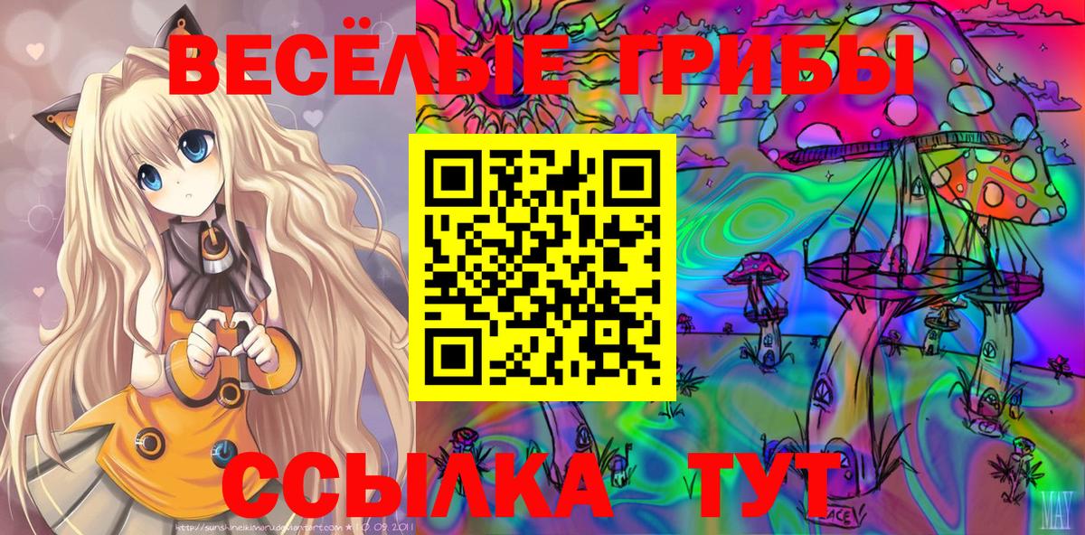 Галлюциногенные грибы Cubensis Мирный