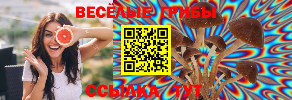 Мирный  Галлюциногенные грибы Psilocybe  Вход с VPN 